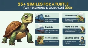 Simile for Turtle