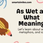 As Wet as What Meaning