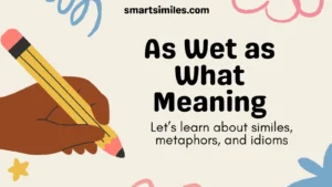 As Wet as What Meaning