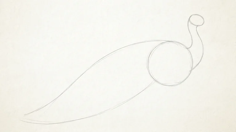 How to Draw a Peacock