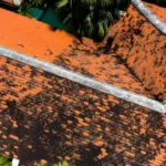 5 Important Factors That Determine Roof Lifespan