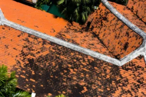 5 Important Factors That Determine Roof Lifespan