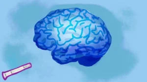 Turning Down the Volume on Opioid Cravings What Early GLP-1 Studies Actually Found
