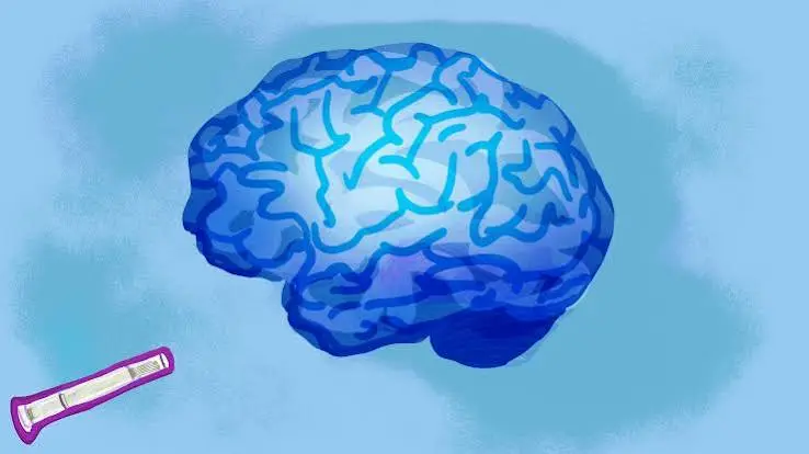 Turning Down the Volume on Opioid Cravings What Early GLP-1 Studies Actually Found